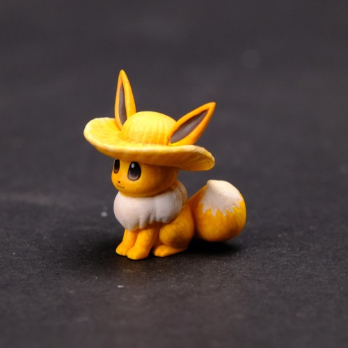 《Pokémon series》Eevee