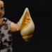 《Figurine》conch
