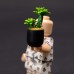 《Figurine》pot culture